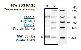 Abl Kinase Mutant (T315I), active human recombinant protein