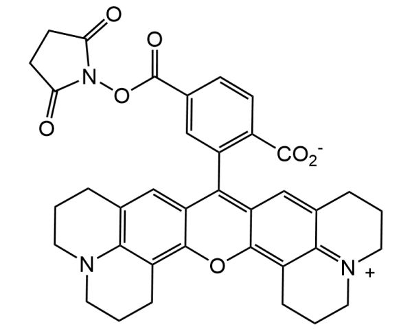 6-ROX N-succinimidyl ester