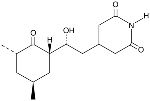 Cycloheximide