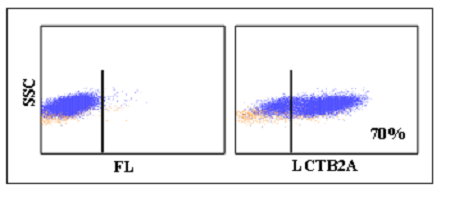 Anti-CD25 (bovine), clone LCTB2A