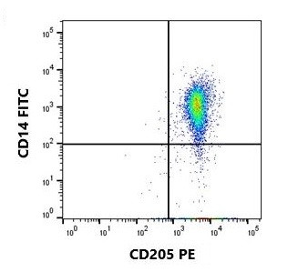 Anti-CD205, clone ZH9F7