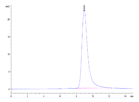LAIR2/CD306, His &amp; Avi, Human