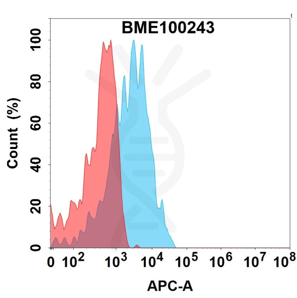 Anti-ILDR2 (bapotulimab biosimilar) mAb