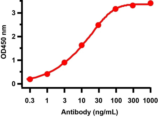 Anti-SARS-CoV-2 ORF10