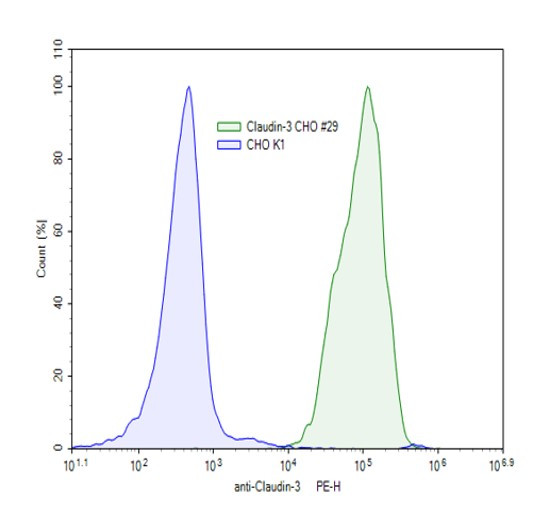 Claudin-3 CHO Cell Line