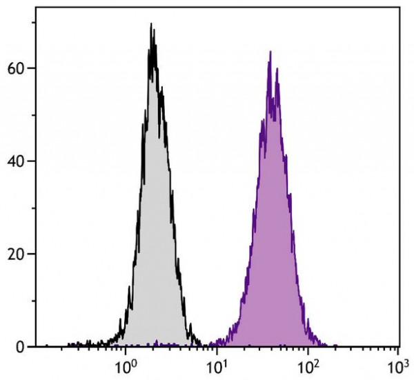 Anti-CD107b / LAMP-2, clone H4B4 (PE )
