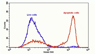 Cell Meter(TM) FITC-Annexin V Binding Apoptosis Assay Kit *Optimized for Flow Cytometry*