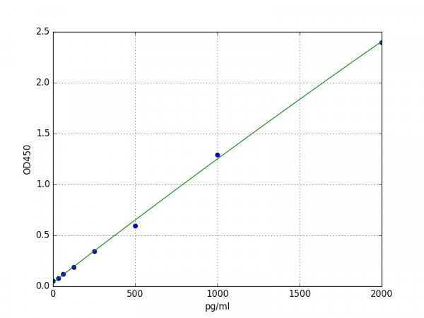 Human CLCF1 / Cardiotrophin-like cytokine factor 1 ELISA Kit