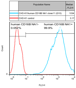 CHO-K1/CD16B NA1 Stable Cell Line