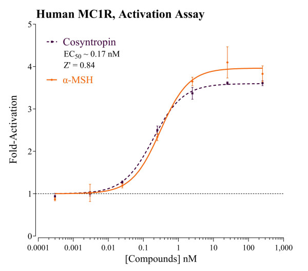 MC1R Reporter Assay System (human)