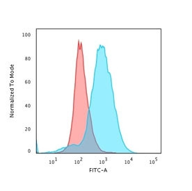 Anti-CD28, clone CB28