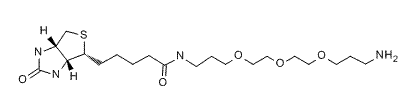 Biotin-PEG3-(CH2)3-Amine