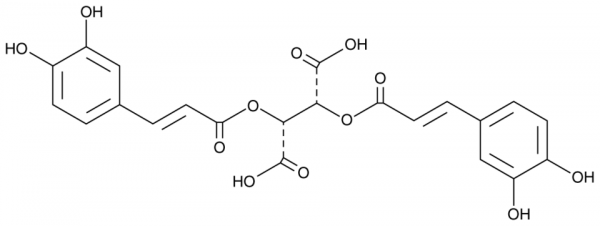 Chicoric Acid