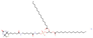 1,2-Dipalmitoyl-sn-glycero-3-PE-N-(cap biotin) (sodium salt)
