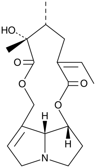 Senecionine