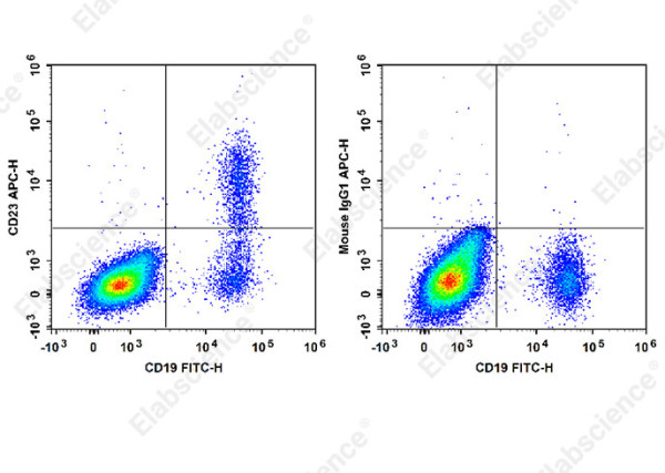 Anti-CD23, clone EBVCS2, APC conjugated