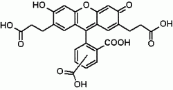 BCECF acid