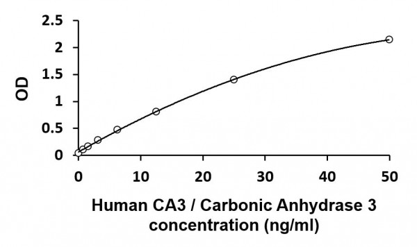 Human CA3 / Carbonic Anhydrase 3 ELISA Kit