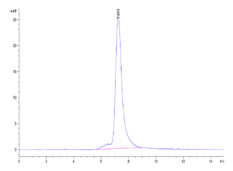 Periostin/OSF-2, His, Mouse