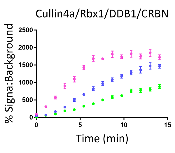 Cullin4a/Rbx1/DDB1/CRBN E3 Ligase Complex TR-FRET Kit