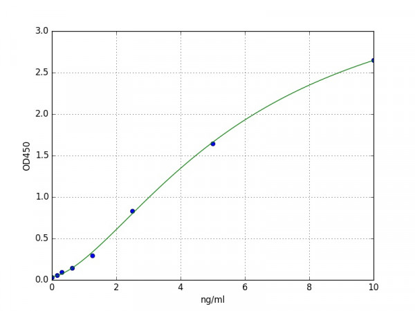 Human Kallikrein-7 / KLK7 ELISA Kit