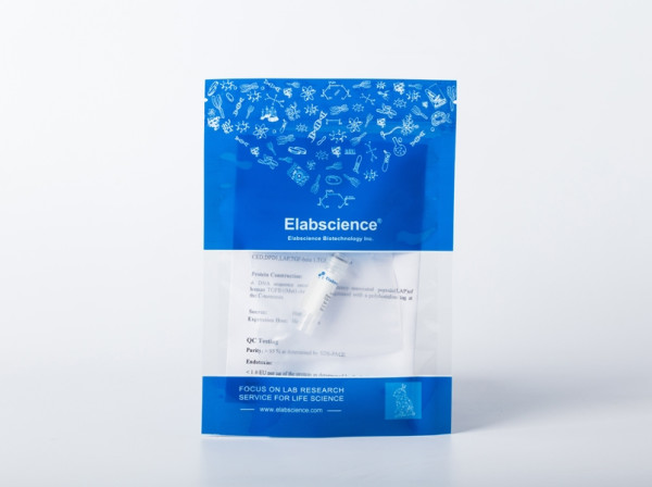 Recombinant Human HMGB1 protein (His tag)