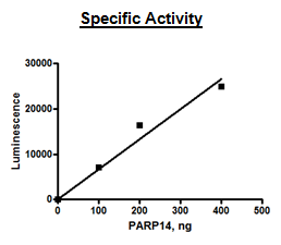 PARP14 Active Human Recombinant Protein, His-GST-tag