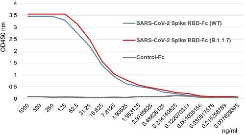 SARS-CoV-2 Spike Protein S1 (RBD):Fc (h) (rec.) (alpha B.1.1.7 Variant, UK)