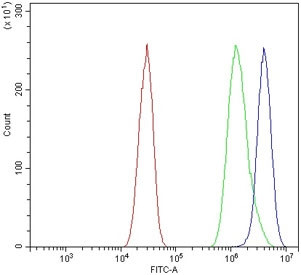 Anti-Chromogranin A