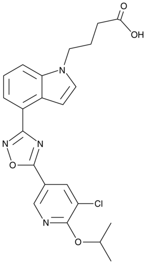 GSK2018682