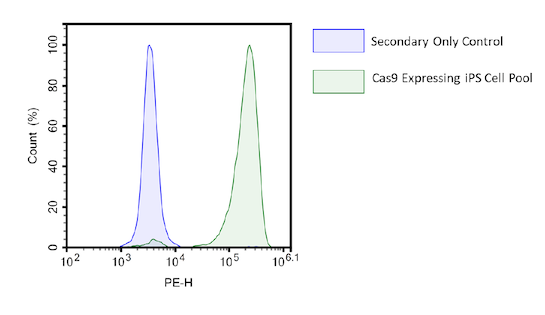 Cas9 Expressing iPS Cell Pool