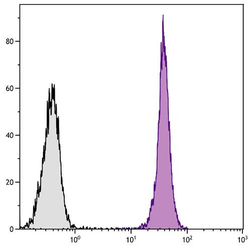 Anti-CD45 (Biotin), clone A20