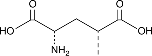 SYM 2081