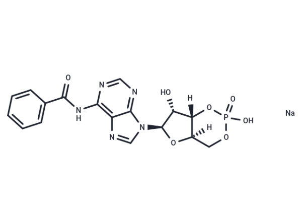 6-Bnz-cAMP sodium salt