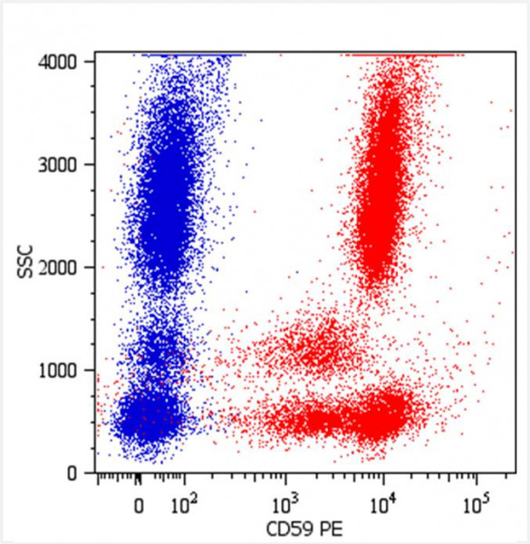 Anti-CD59, clone MEM-43 (PE)