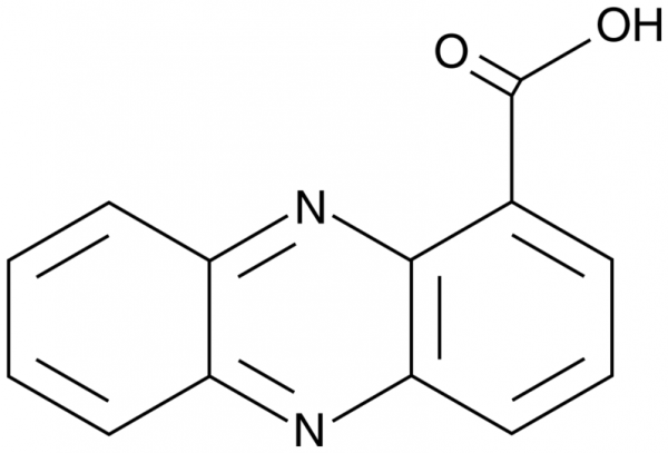 Tubermycin B