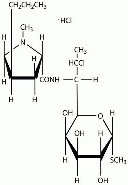Clindamycin hydrochloride