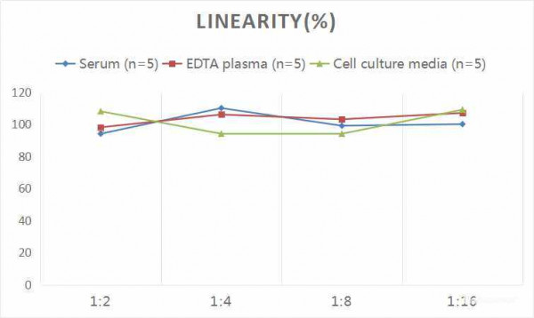 Rat IL-18 (Interleukin 18) CLIA Kit