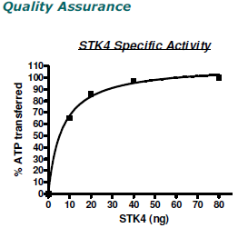 STK4(MST1), active human recombinant protein, GST-tag