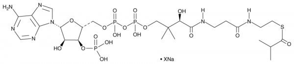 Isobutyryl-Coenzyme A (sodium salt)