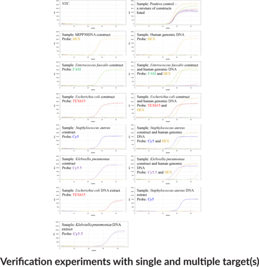 Wound4 (Bio-Rad) Multiplexed qPCR Assay Bundle
