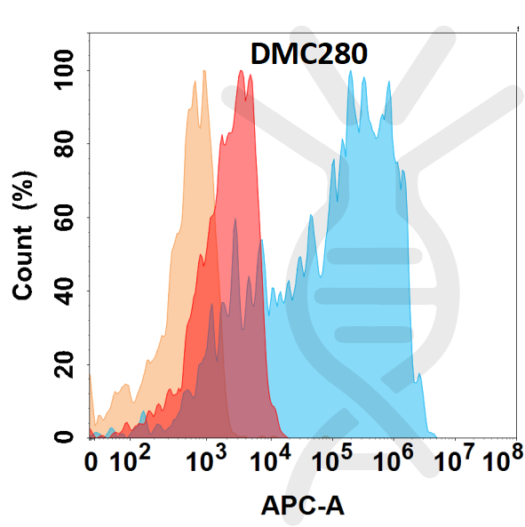 Anti-CD21 antibody(DMC280), IgG1 Chimeric mAb