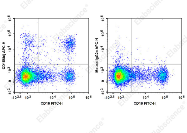 Anti-CD158b/j, clone DX27, APC conjugated