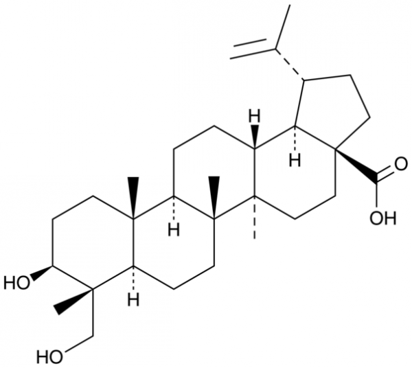 23-hydroxy Betulinic Acid