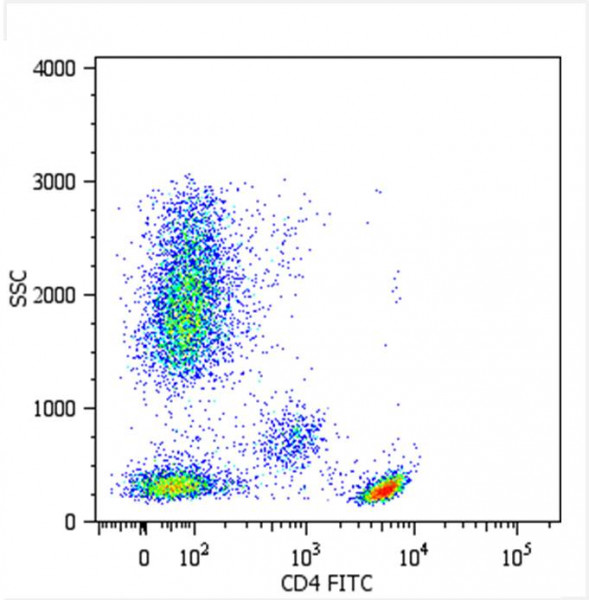 Anti-CD4, clone MEM-241 (FITC)