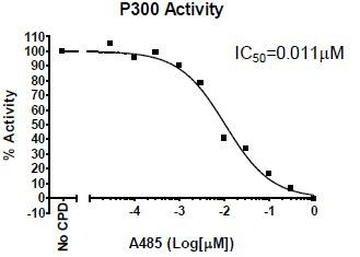 P300 Chemiluminescent Assay Kit