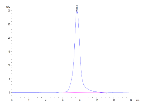 CLEC9A hFc Chimera, Mouse