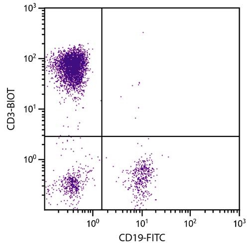 Anti-CD3, clone UCHT1 (biotin)