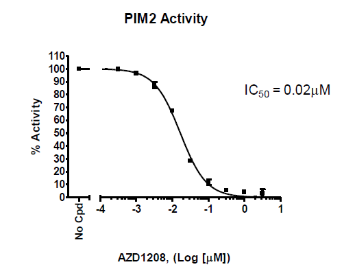 PIM2 Assay Kit