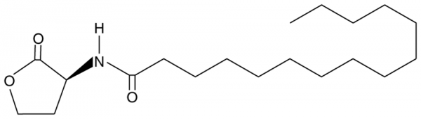 N-pentadecanoyl-L-Homoserine lactone